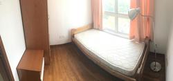 Rocca Balestier (D12), Apartment #170702572